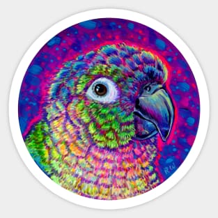 Greek Cheeked Conure Sticker